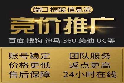 网络营销新篇章：竞价推广案例分析